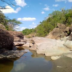 Karura Forest Walkers community