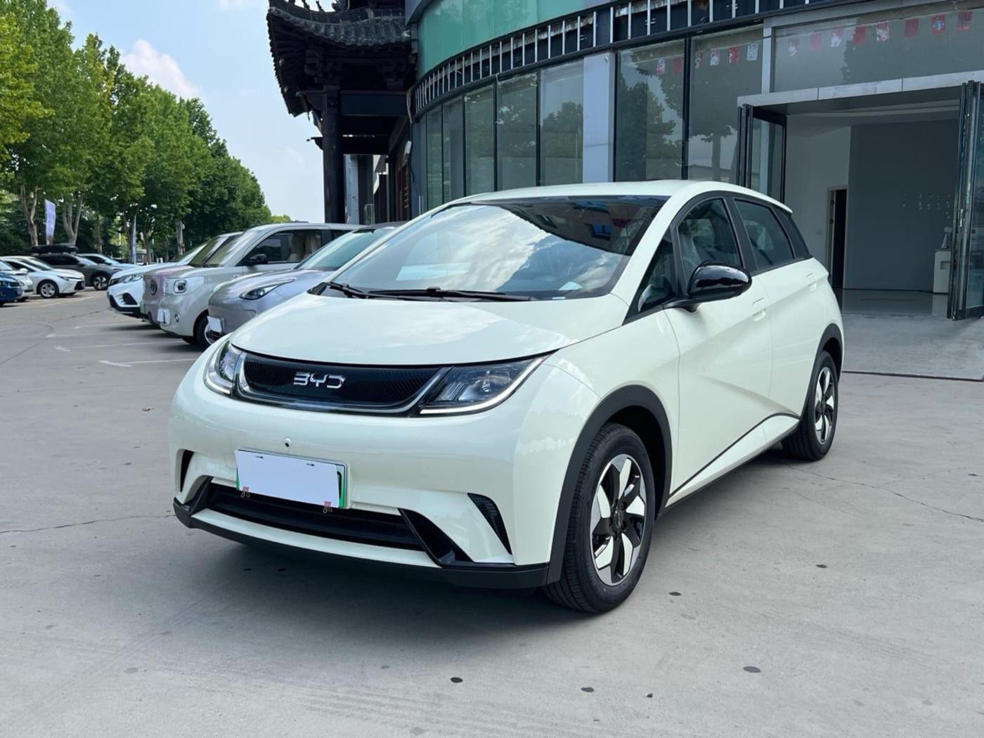 USED BYD DOLPHIN 420KM 2025 used car photo for export from China