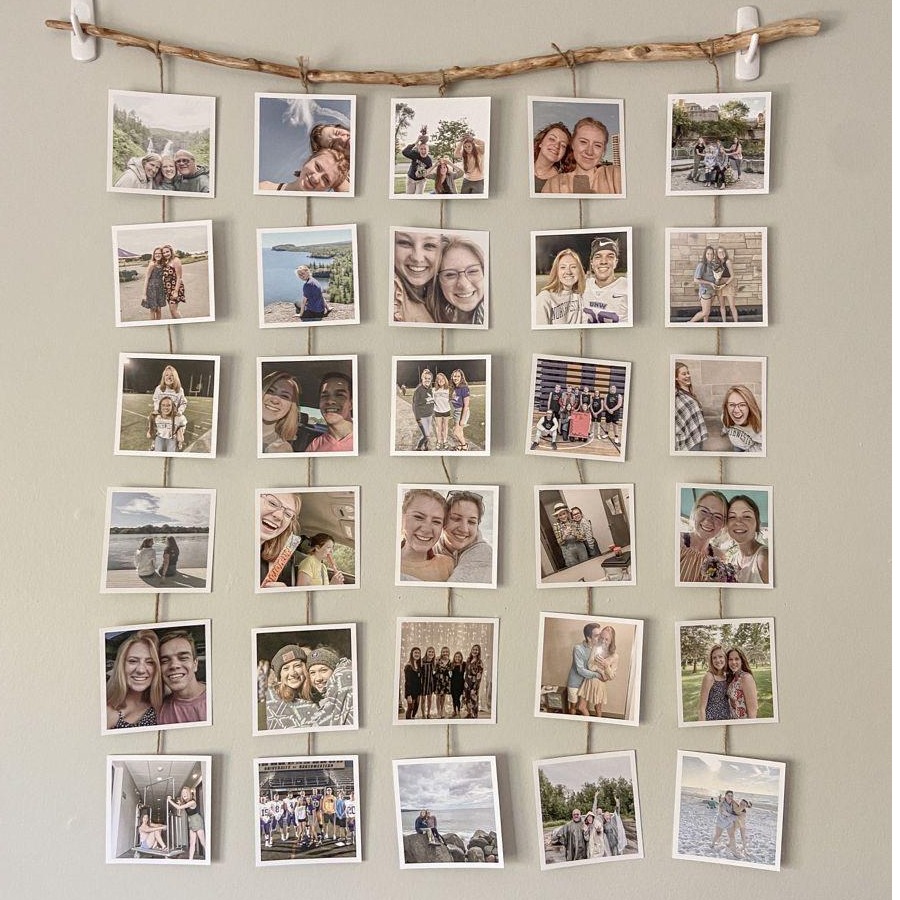 Plant wooden branch and 25 square poloroids, with a small  Jhoot roop