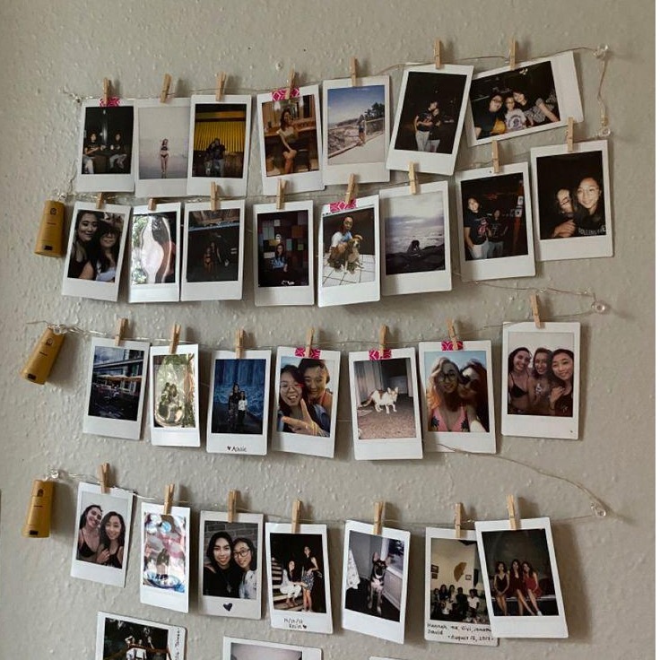 Thirty rectangular poloroids with light strip