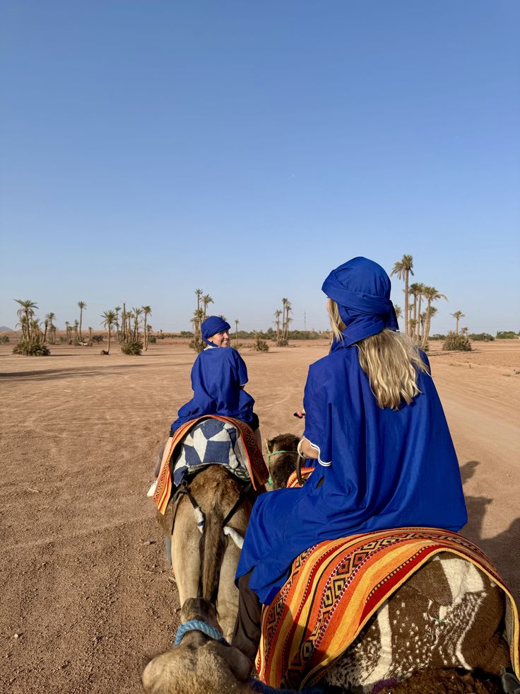 Agafay Camel Ride landscape