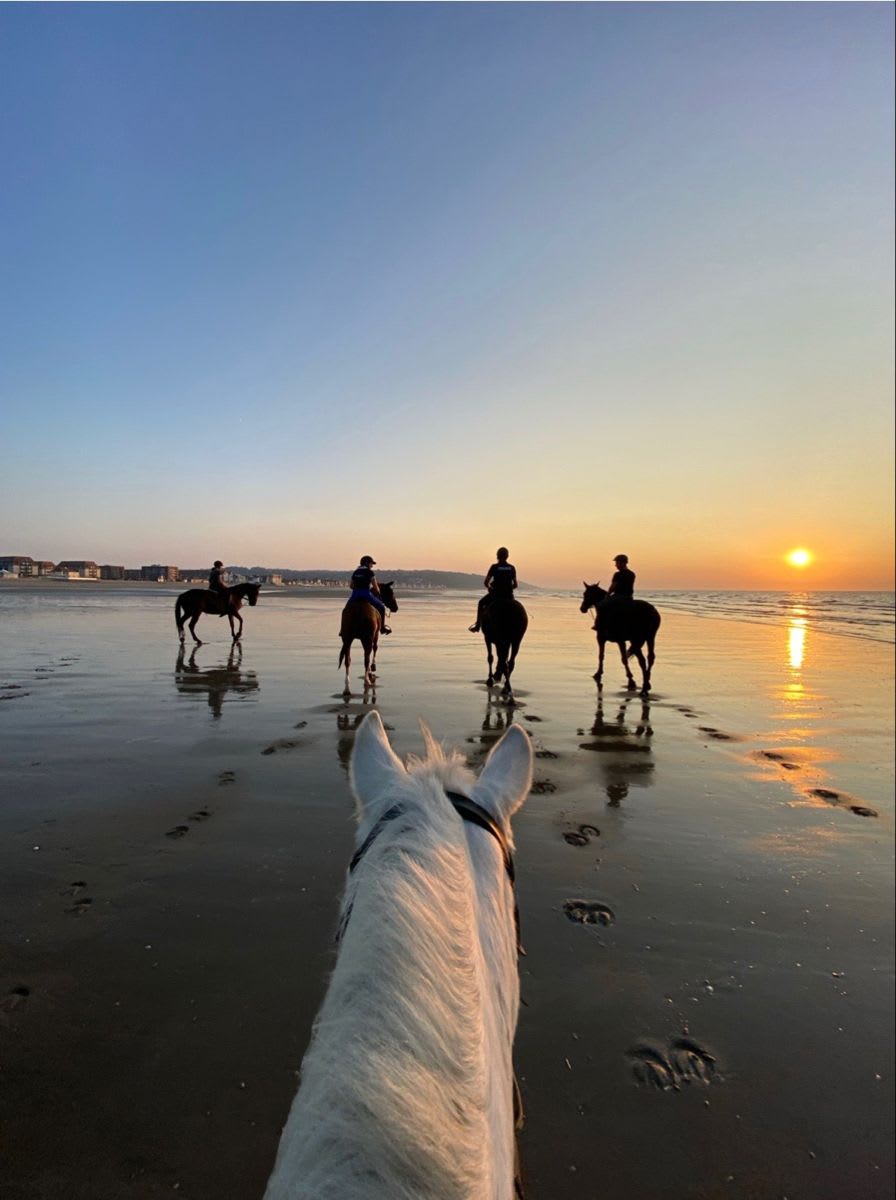 Horse Riding Experience detail