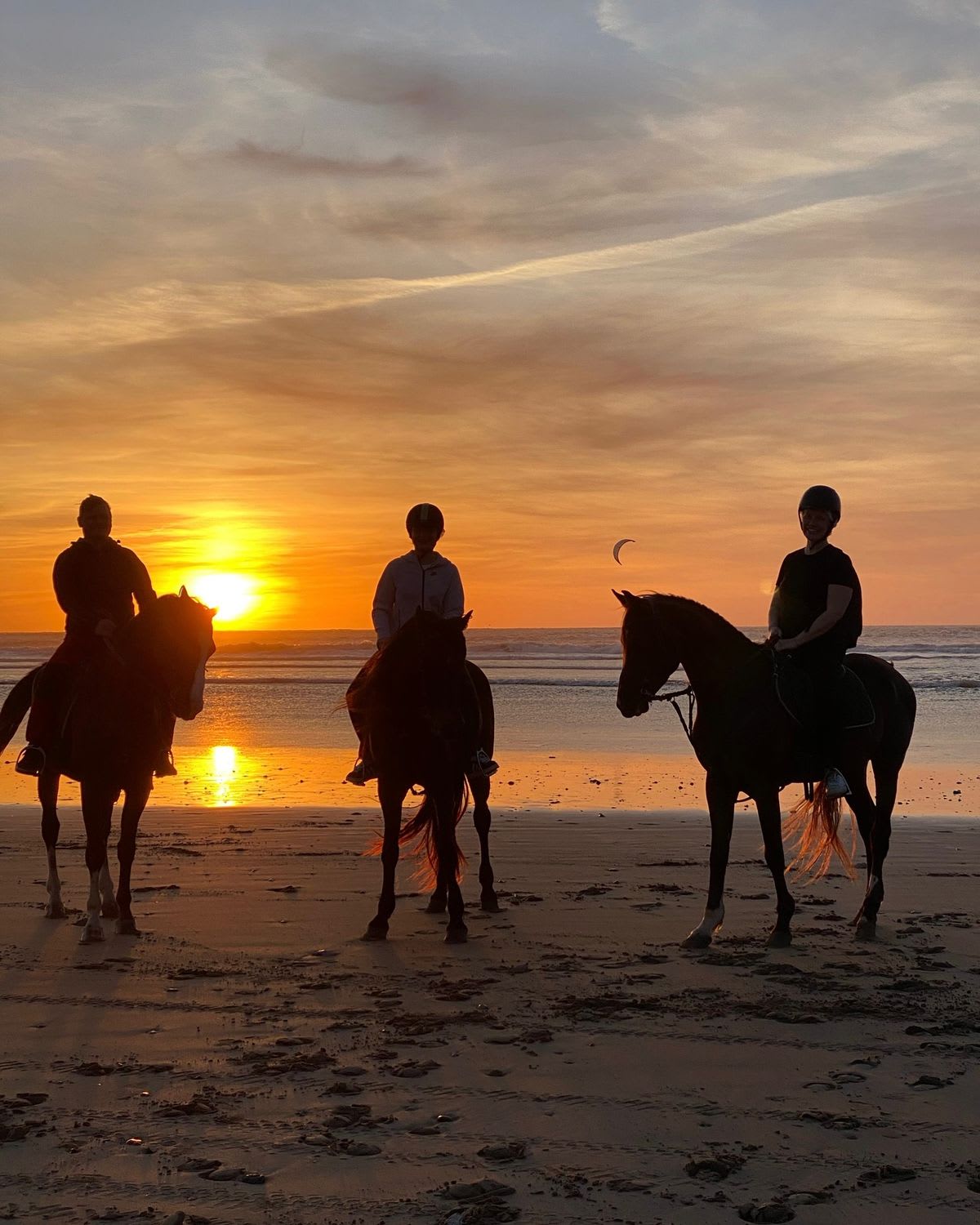 Horse Riding Experience