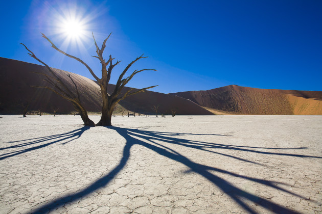 Deadvlei is a perfect location to shoot into the sun. Its stark contrast of 700 year old mummified trees, giant sand dunes and clay pan base is very surreal. By shooting into the sun I could also add the extra facet of the trees shadow. This image was shot in 2006. Note the minus 0.5 of a stop EV setting. Today I might not bother to set this, rather shooting straight to the meters 'suggested reading' and adjusting as required when processing. 17-40mm lens @ 17mm, 1/250s @ f11, EV to minus 0.5, ISO 100.