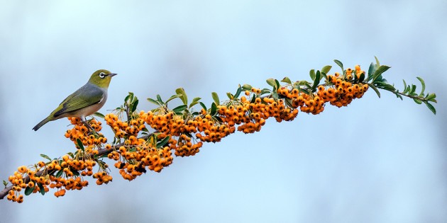 Photo by David Bassett.