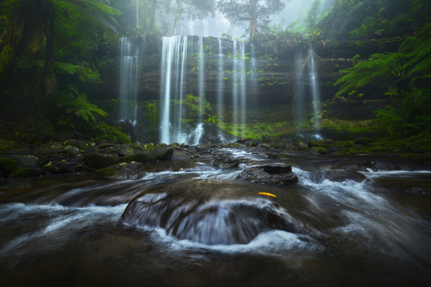 I woke from my tent to see Mount Field National Park engulfed in fog. I couldn’t have asked for better conditions. Sony A7R, Canon 16-35mm f/2.8 lens @ 16mm, 1/15s @ f9, ISO 100.