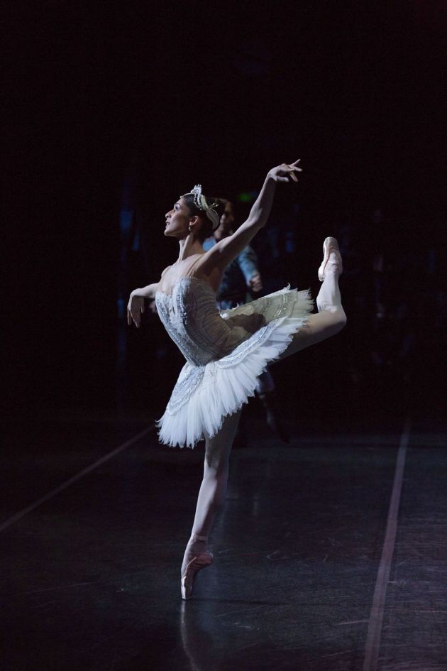 In her debut as Odette in 'Swan Lake'.
Photo: LYNETTE WILLS