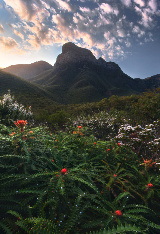 Photo by Ronald Pollard from the portfolio 'Landscapes of Australia.' Winner, 2015 Junior Landscape Photographer of the Year.