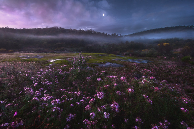 Photo by Ronald Pollard from the portfolio 'Landscapes of Australia.' Winner, 2015 Junior Landscape Photographer of the Year.