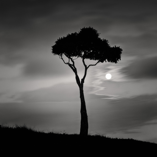 Photo by Stephen Fudge from the portfolio 'Of Land and Water.' Runner up, 2015 Black and White Photographer of the Year.