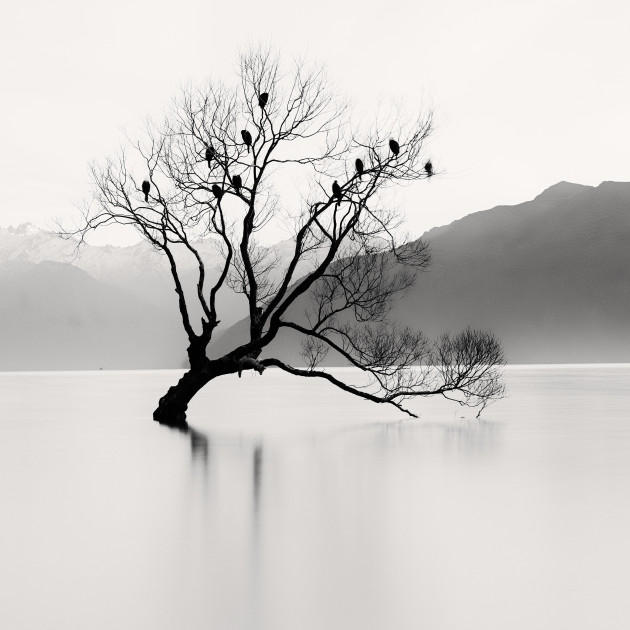 Photo by Stephen Fudge from the portfolio 'Of Land and Water.' Runner up, 2015 Black and White Photographer of the Year.