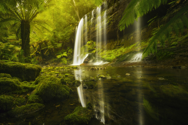 Soft diffused morning light enhances the fairytale feel to this Tasmanian forest scene. Sony A7R, Canon 16-35mm f/2.8 lens @ 16mm, 1/4s @ f16, ISO 200.