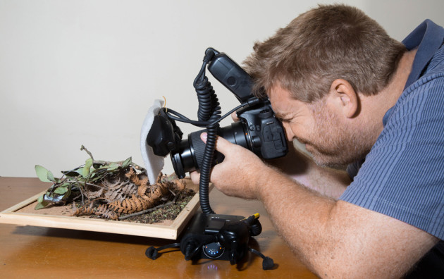 Michael Duncan photographing on his custom diorama, a lazy susan he uses to imitate the spiders habitat and manipulate their positions.