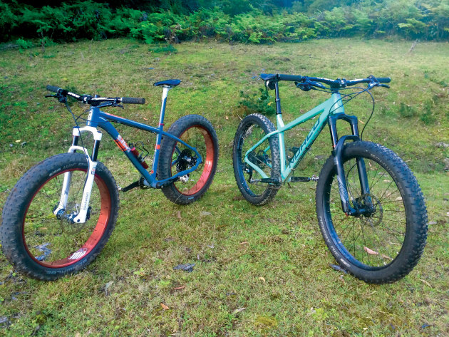 good fat bikes