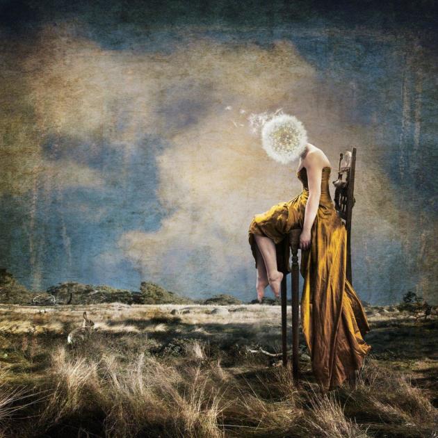 © Cyndi Briggs