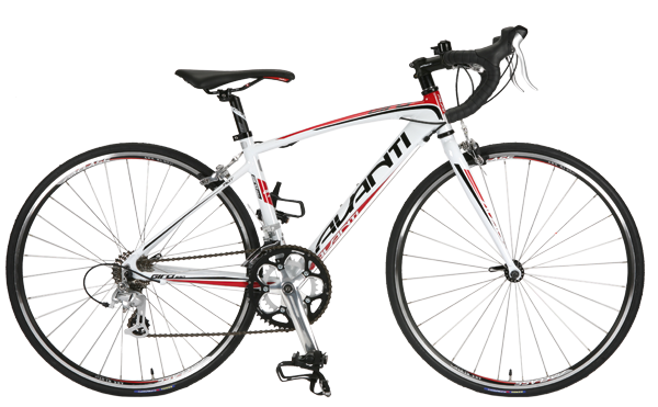 avanti road bike