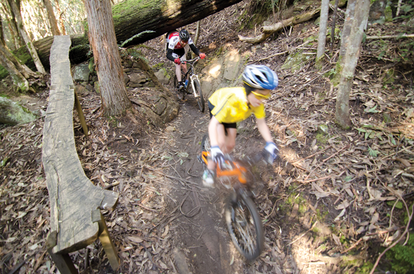 mt wellington mountain bike trails