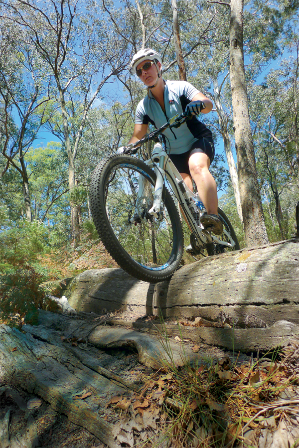 A sizable log rollover on Howards track.