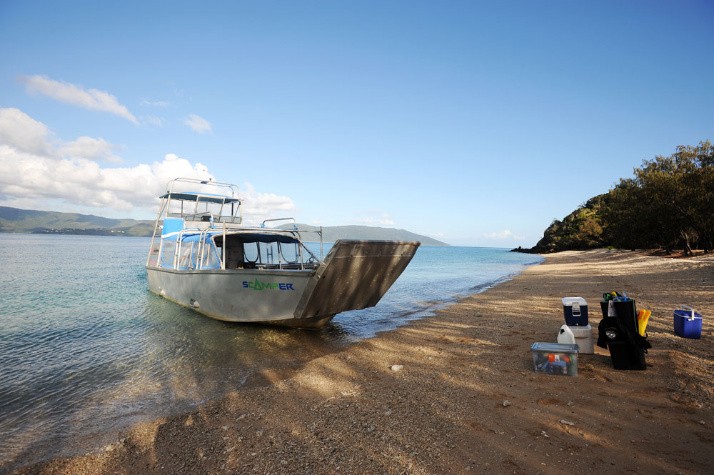 The Scamper water taxi drops you right on the beach at Molle Island.