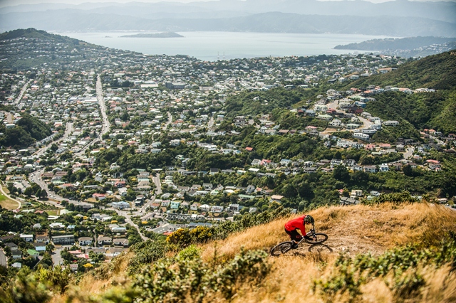 Up above suburbs of Wellington at Makara.