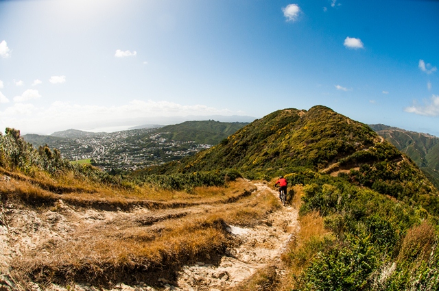 Descending the rough and ready Ridgeline with the city of Wellington below.