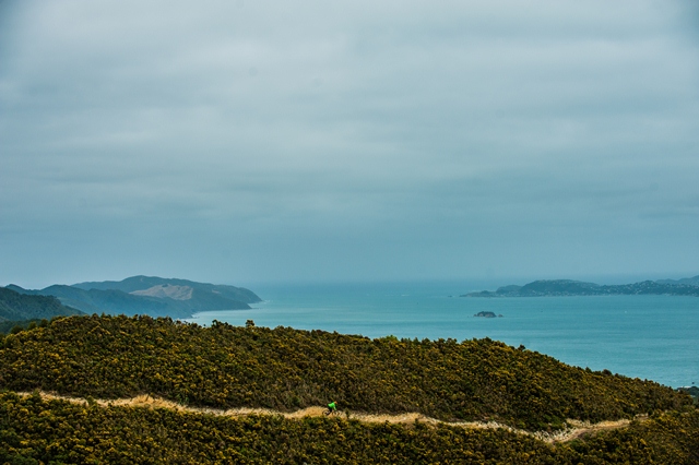 Up high on the Wainuiomata trails—a 30 minute drive from Wellington, or you can catch the ferry.