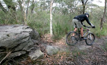 Smoothly move forward on the bike as your rear wheel rolls down the drop