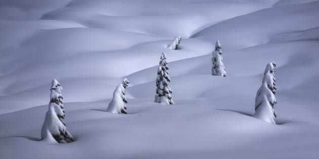 'Hibernation', Mount Rainier, Washington. © Alex Noriega.