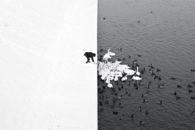 1° classified in the open monochrome category.
Marcin Ryczek, Poland (Krakow). This photograph was taken in Krakow, from the Grunwald bridge. The nature-created contrast of white snow and dark water, separated by the straight line of the waterfront, serves as a reflection of the Yin-Yang symbol which represents opposing yet complementary forces.