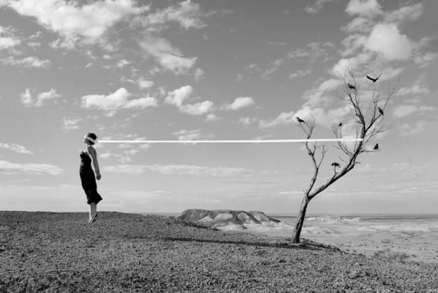 One of Astrid Verhoef's 'Inscapes' photographs, "Birds". Verhoef's exhibition explores the connectivity between modernity and nature.