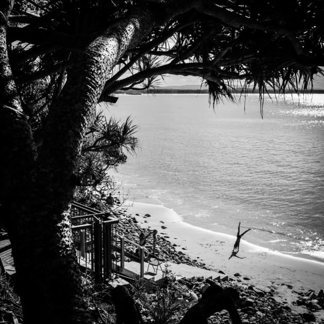 Winter Cartwheels by Catherine Toal