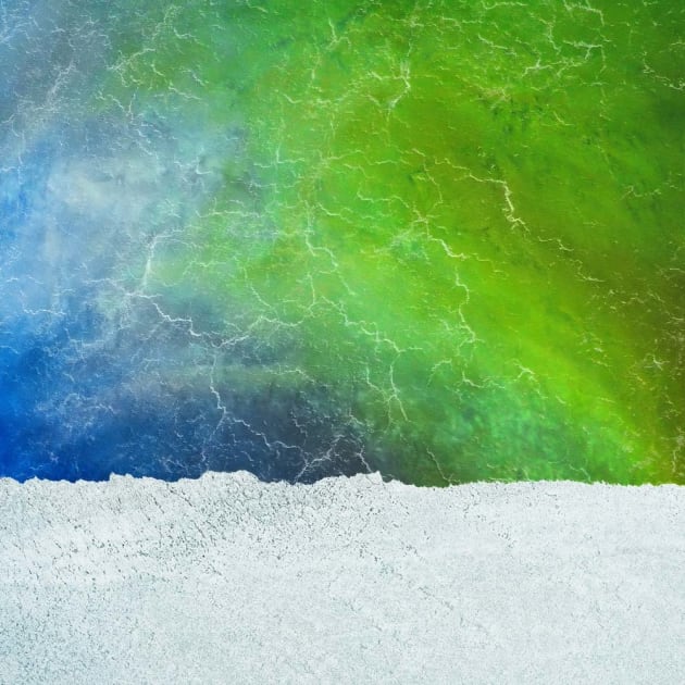 Cyanoterra by Luke-Austin. Nikon D800E, 85mm f/1.4 lens, 1/1250s @ f8, ISO 360.