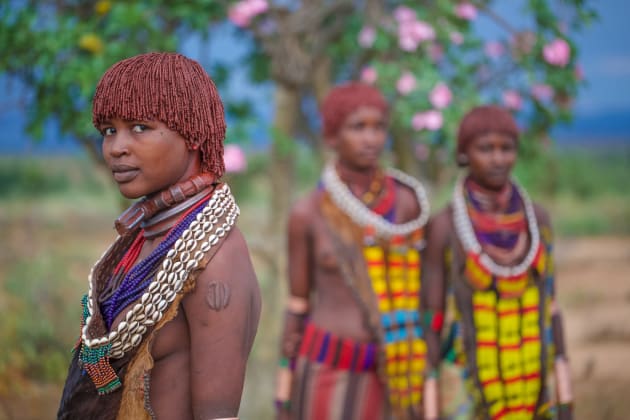 Desert Roses by Robin Yong