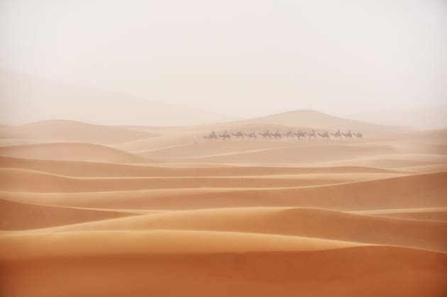 A camel train interrupts the never-ending lines of dunes during a sandstorm in the Moroccan Sahara. Nikon D90, 18-200mm lens. 1/125s @ f5.6, ISO 400.