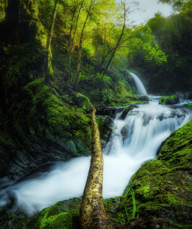 Photo © Jake Scott-Gardner