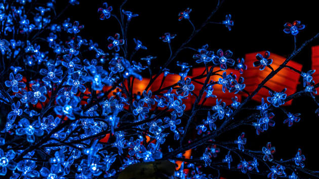 'Lights and Lanterns' by Alan Coligado