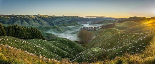 © John Ford. Nature and Grand Prize winner.