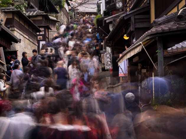 Photo © Paul Hemsworth