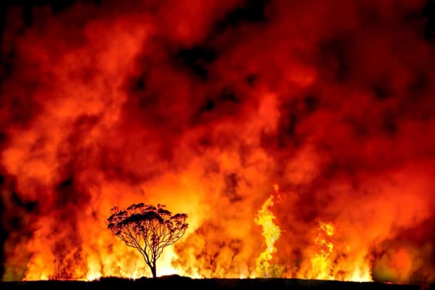 Cane Fire by Peter Humphreys