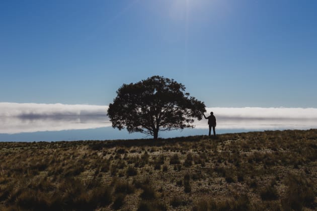 Just Us by Silvia Li