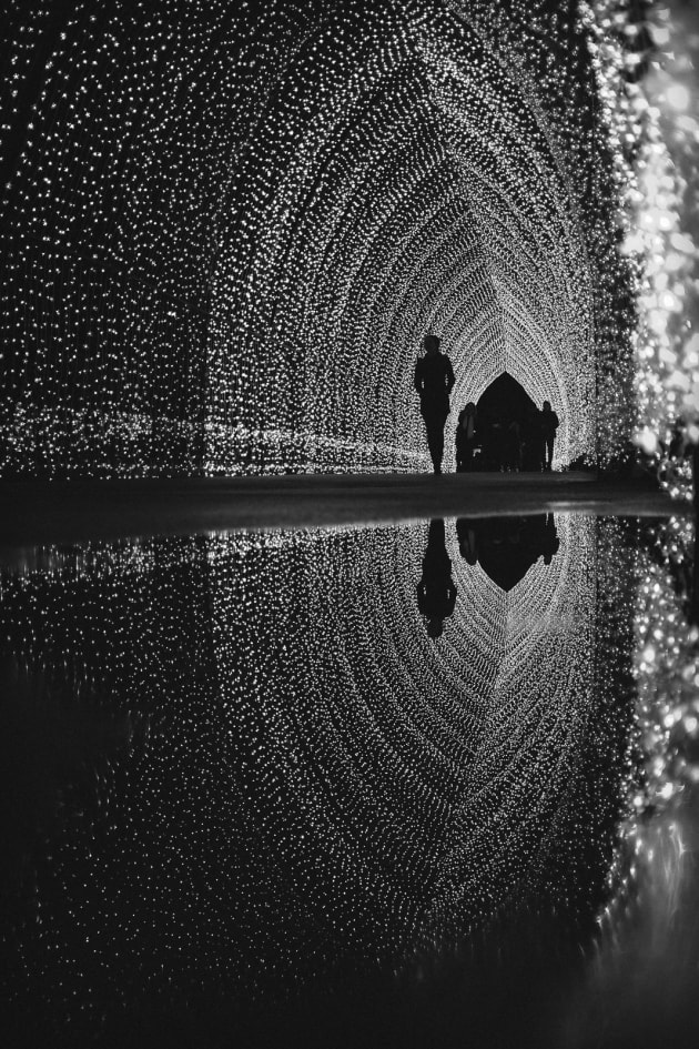 Vivid's gorgeous cathedral of light last year. © Drew Hopper