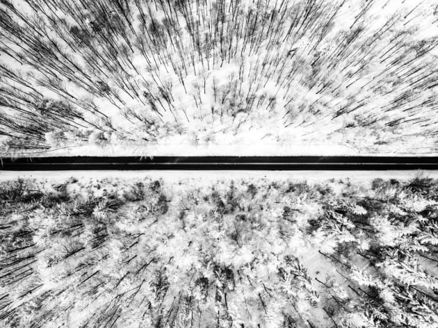 Winter by Tomasz Walczack. A road cuts through the harsh starkness of a forest experiencing winter.