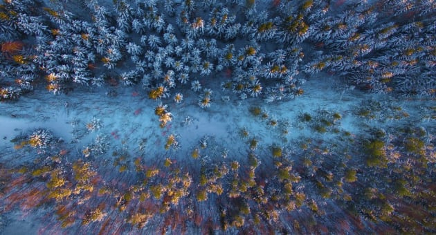 Barskog by Atle Goutbeek. The sun and snow form a beautiful contrast in a wintery forest.