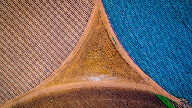 Crop Triangle by Eddie Oosthuizen. Crop irrigation and agriculture can also be fascinating visually, as shown here with a barren triangle forming between three crop types planted in a circular motion for efficient irrigation.