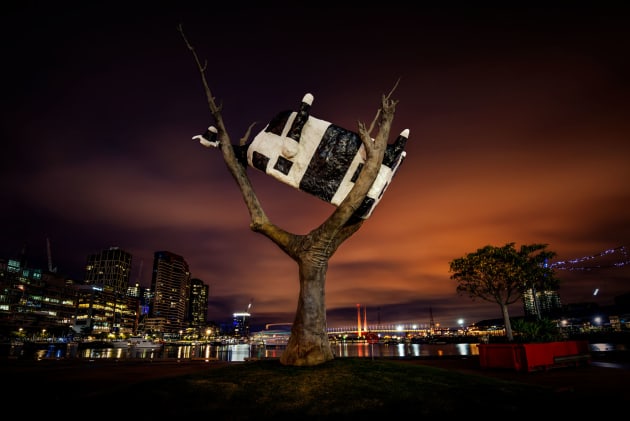 Street art, Cow up a tree in Docklands at night.