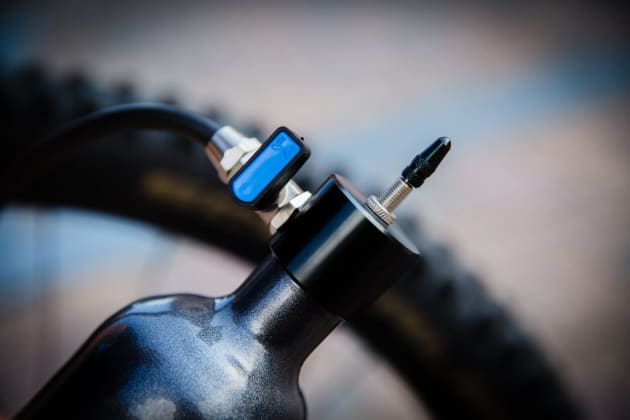 schwalbe tubeless mtb