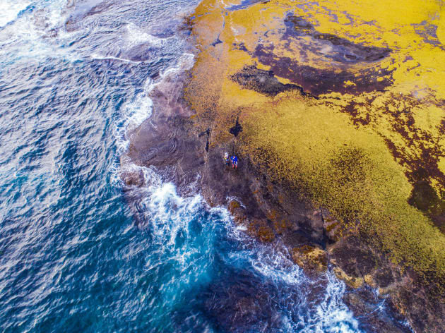 Phantom 4 pro photography sales