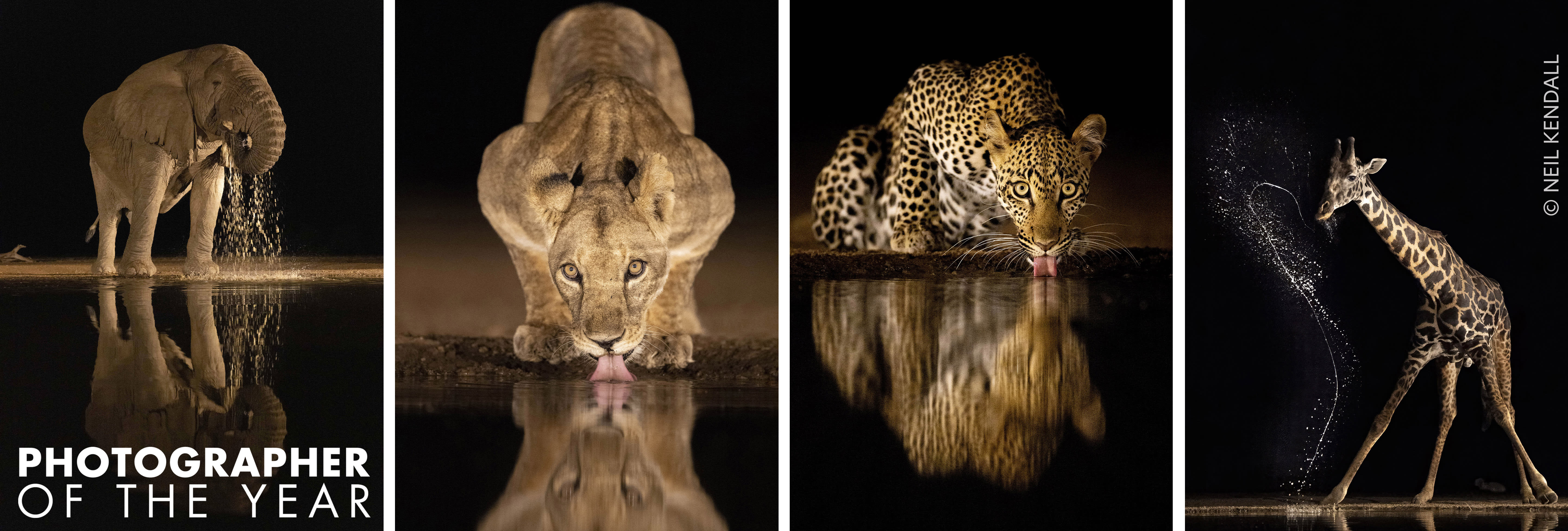 Photographs by Neil Kendall