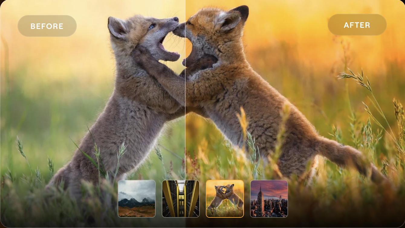 Image: Luminar