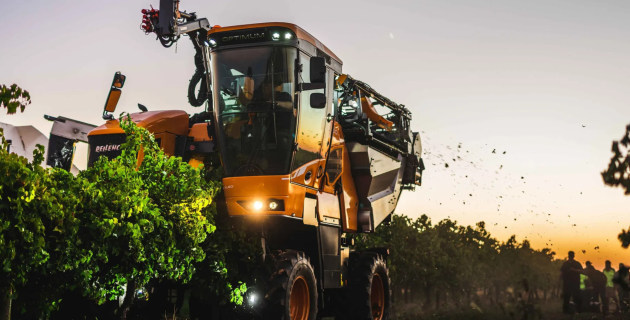 Finalists announced for 2025 Australian Export Awards